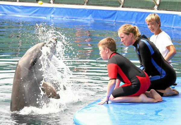 Tim lässt die Delfinpfeife erklingen (Quelle: Der Patriot)