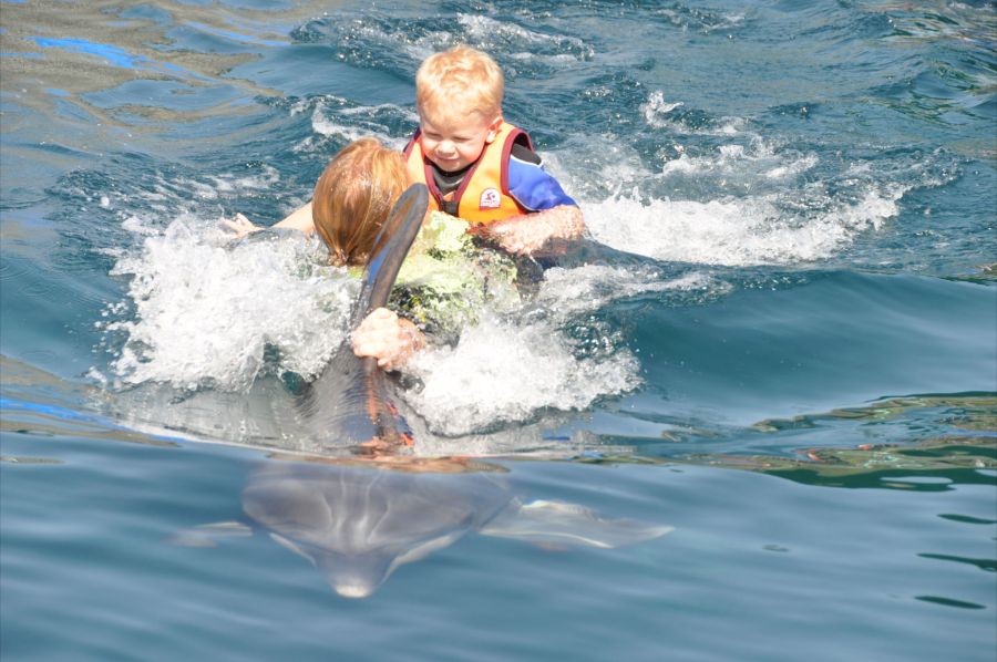 Third Dolphin Therapy for Leon