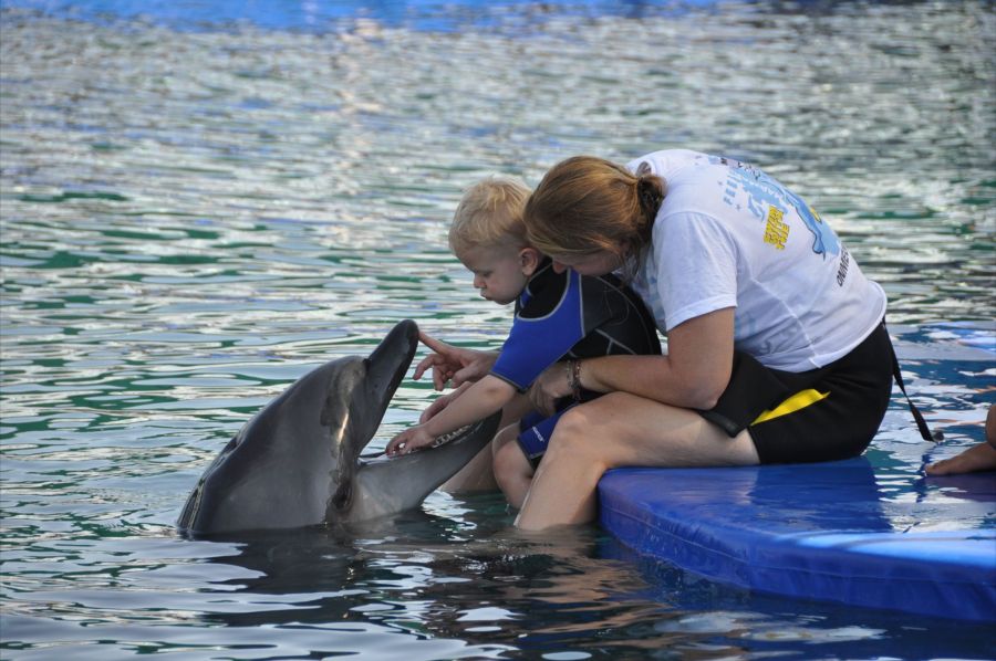 Third Dolphin Therapie for Leon