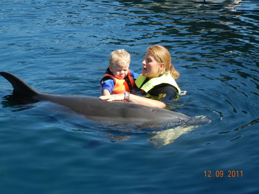 Third Dolphin Therapie for Leon