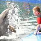 Тим надува свирката за обучение на делфини