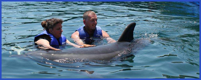 dolphin-therapy-report-vroni-21